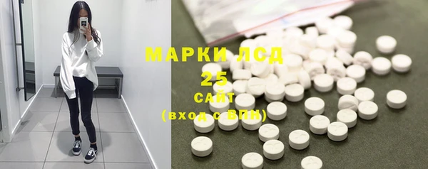 PSILOCYBIN Аркадак