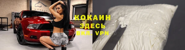 сатива Армянск