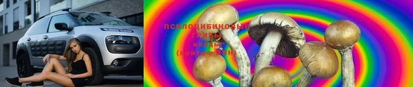 сатива Армянск